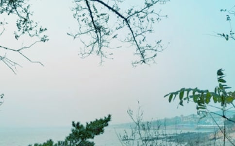 给自己一缕春风作文(精选31篇)