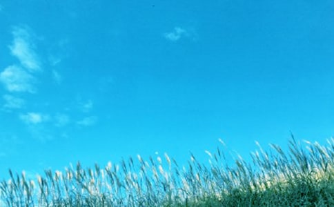 《春风化雨》观后感(精选21篇)