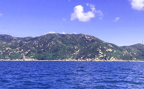 我看到了大海作文(精选22篇)