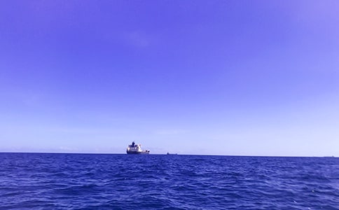 大海的作文精选39篇