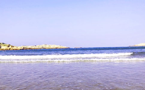 【精选】大海作文50篇