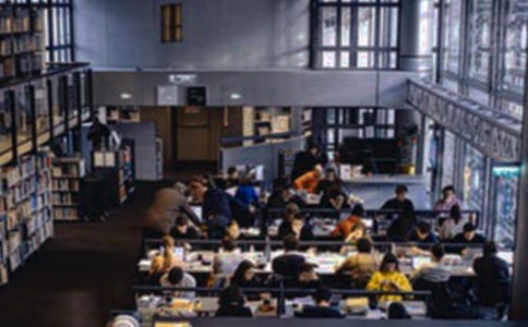 大学生村官石磊:当村官要做好自己能做的事