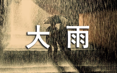 精选形容大雨的句子29条