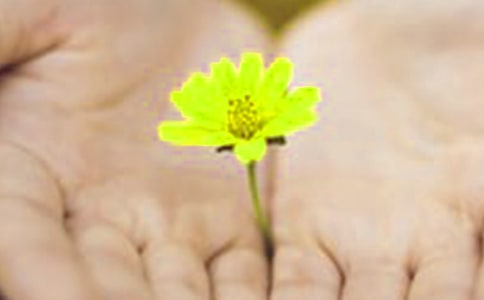 成绩没考好道歉信(精选14篇)