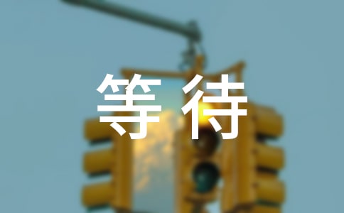 等待的作文(精选28篇)