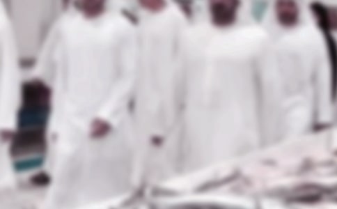 精选迪拜游记作文19篇