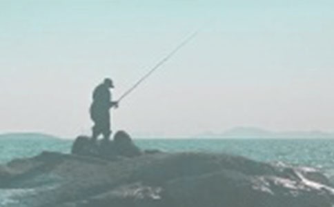 钓鱼的启示教案(通用16篇)