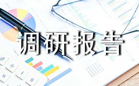 调研报告格式