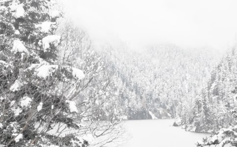 冬季供水保障简报范文(精选21篇)