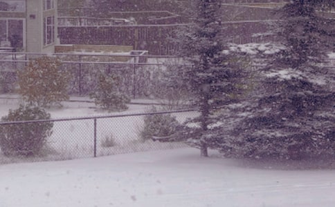 冬日黄昏时车来人往的街头作文(精选27篇)