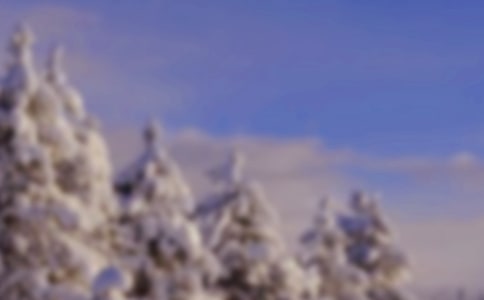 大班冬天语言教案(精选15篇)