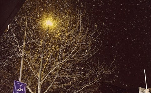 【热门】初中冬天的作文17篇