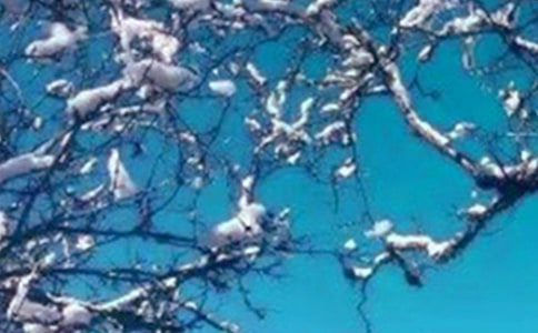 形容冬天的句子36句