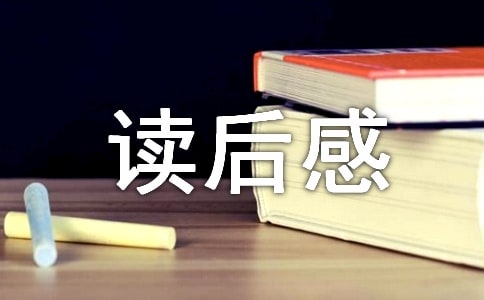 《弥天大谎》读后感800字