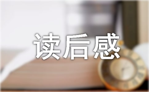 舒克贝塔传读后感作文450字