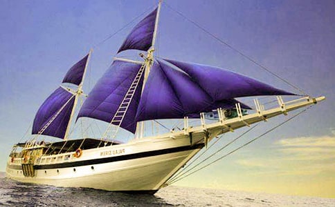 中班美术小帆船教案(通用5篇)