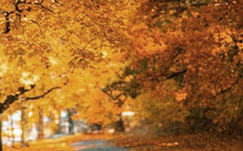 鸡西八楞山风景区资料