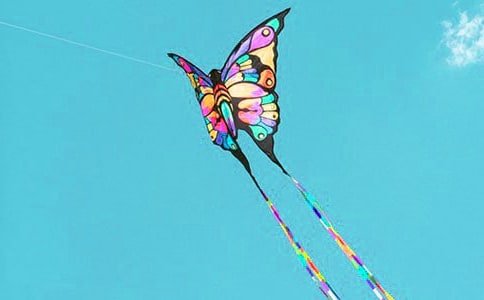 放风筝三年级作文(精选75篇)