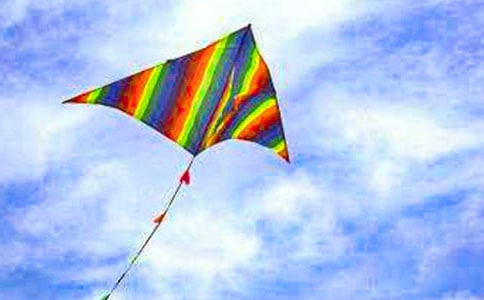 龙形风筝作文范文(精选24篇)
