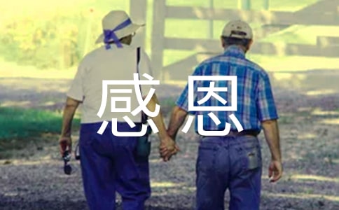 爱在左感恩在右作文(精选28篇)