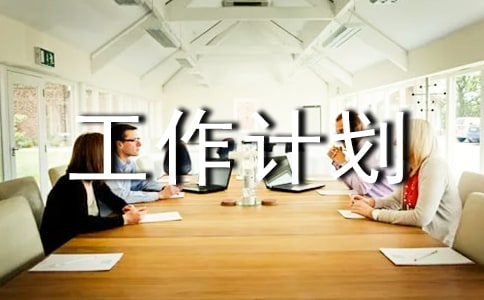 乡镇统计站工作总结及工作计划