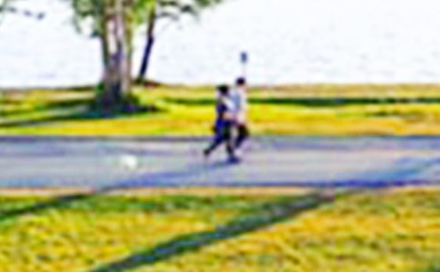 公园写景作文(通用19篇)