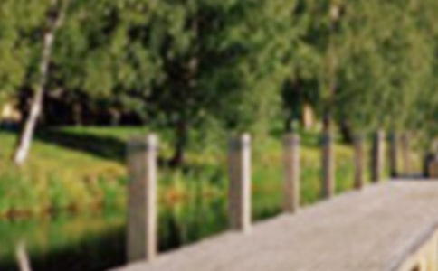 美丽的青山公园作文(通用15篇)