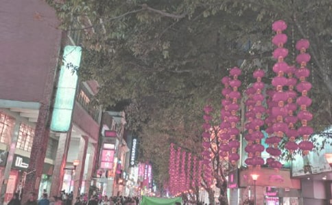 《时代广场的蟋蟀》读后感(精选27篇)