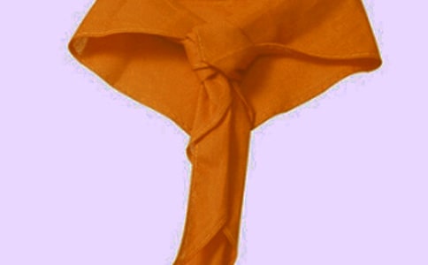 《飘扬的红领巾》读后感(精选9篇)