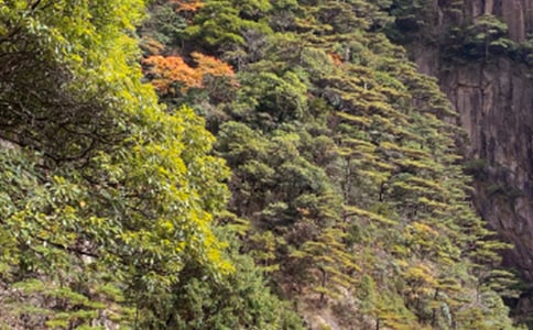 黄山之旅作文(通用21篇)