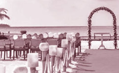 婚礼长辈致辞(精选20篇)