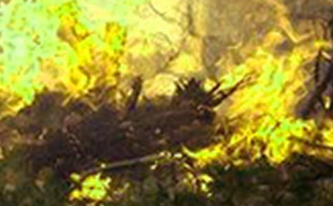 防火灾作文(精选41篇)