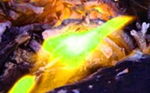 火灾防控工作总结(精选16篇)