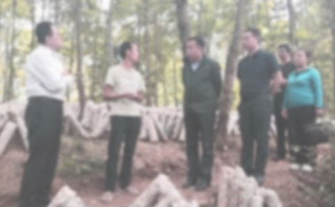 大学生纪检部工作计划(精选12篇)