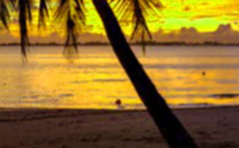 关于假期做家务的心得体会(通用29篇)