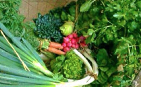 突破自我心理健康教案(精选10篇)