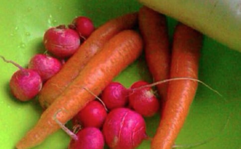 小学健康工作总结(通用20篇)