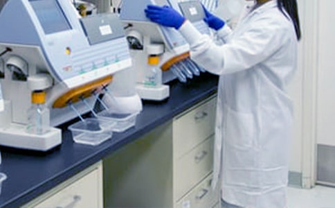 第一学期小学英语教研组工作计划(精选15篇)