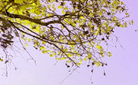 景色的初中作文(精选20篇)