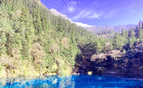 九寨沟游记作文(精选31篇)