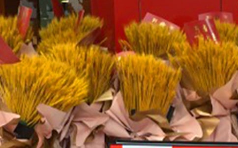 酒店开业前工作计划(精选8篇)