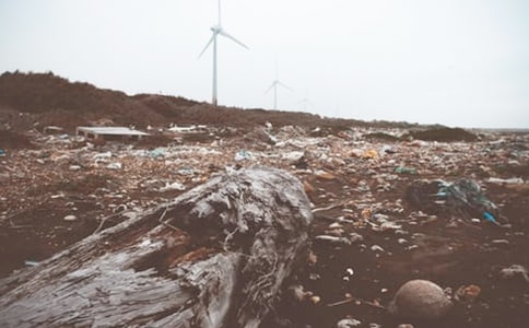 捡垃圾心得体会(精选20篇)