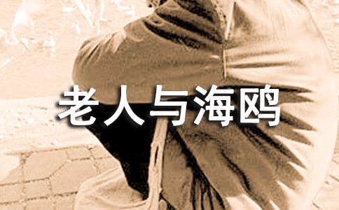 老人与海鸥读书心得(精选30篇)