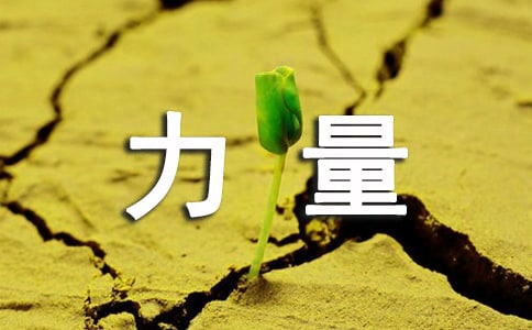 飞翔的力量记叙文600字(精选31篇)