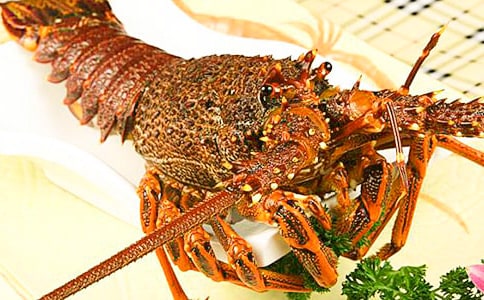 捉龙虾作文(通用41篇)