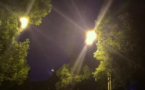 写路灯的自述作文(精选32篇)