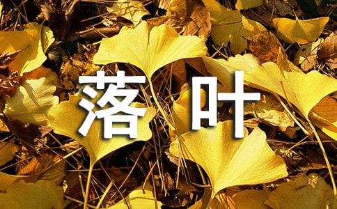 捡落叶的作文150字(通用18篇)