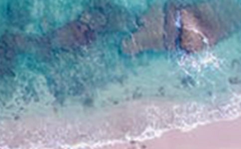 我心中的美景初中作文(精选45篇)