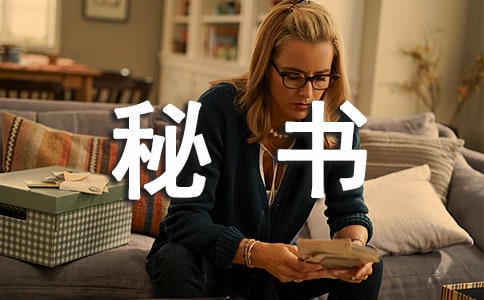 公司秘书年终个人总结范文(精选10篇)