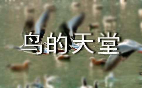 《鸟的天堂》小学语文教案范文(精选9篇)